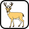 How to draw a deer
