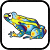 Draw a Frog