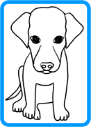 puppy