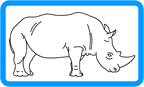 rhino