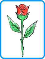 rose