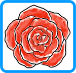 rose