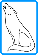 wolf
