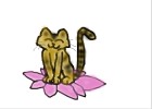 Lotus Cat