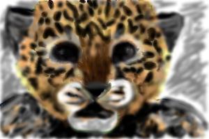 How to Draw a Leopard Cub