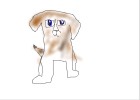 Beagle Dog