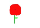 Poppy
