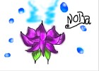 How to Draw a Lotus Flower