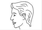 How to Draw a Profile
