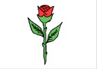 How to Draw a Rose