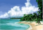 How to Draw Beach Palms