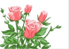 How to Draw Roses