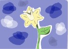 Daffodil
