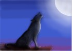 How to Draw Wolves