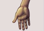 How to Draw a Realistic Human Hand