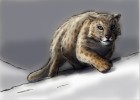 How to Draw a Snow Leopard