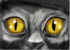 How to Draw Realistic Feline Eyes