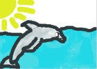 Dolphin In The Sun