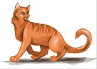 How to Draw Firestar from Warrior Cats
