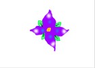 Heavens Flower