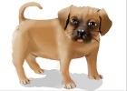 How to Draw a Pug (Ver 2)