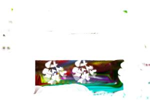 Abstract 1