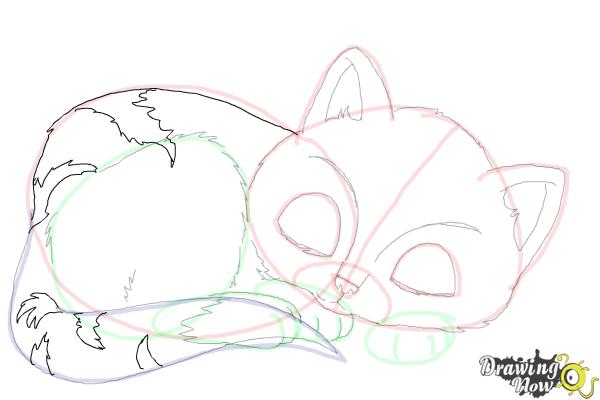 How to Draw a Baby Cat - Step 11 How to Draw a Baby Cat - Step 11