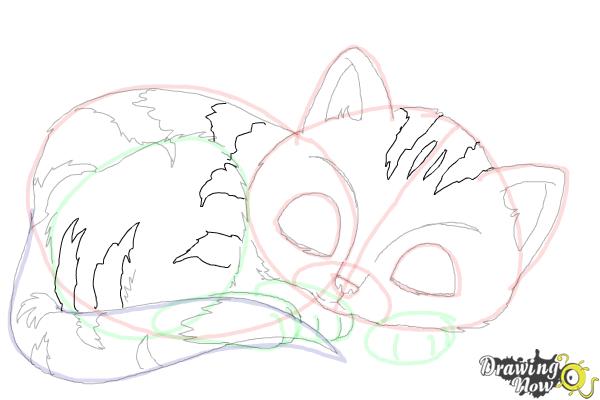 How to Draw a Baby Cat - Step 12 How to Draw a Baby Cat - Step 12