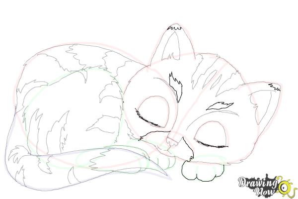 How to Draw a Baby Cat - Step 13 How to Draw a Baby Cat - Step 13
