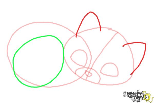 How to Draw a Baby Cat - Step 5 How to Draw a Baby Cat - Step 5