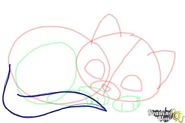 How to Draw a Baby Cat - Step 8 How to Draw a Baby Cat - Step 8