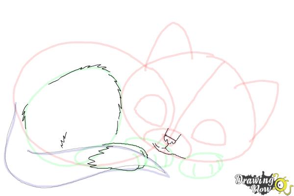 How to Draw a Baby Cat - Step 9 How to Draw a Baby Cat - Step 9