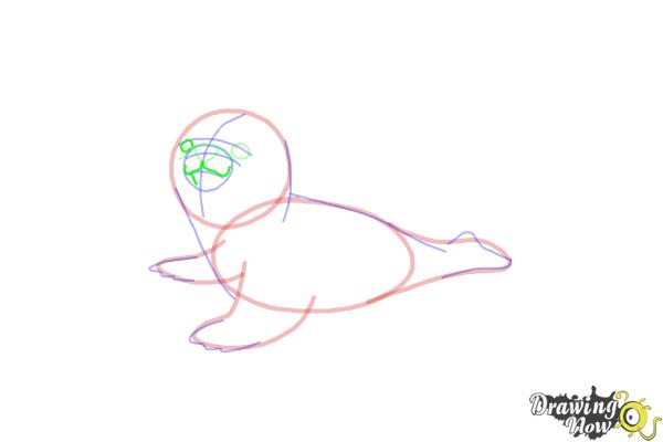 How to Draw a Baby Seal - Step 11 How to Draw a Baby Seal - Step 11