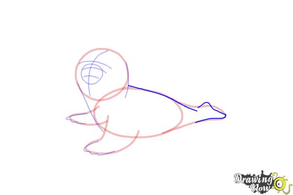 How to Draw a Baby Seal - Step 9 How to Draw a Baby Seal - Step 9