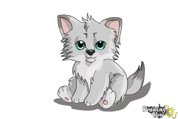 How to Draw a Baby Wolf - Step 10 How to Draw a Baby Wolf - Step 10