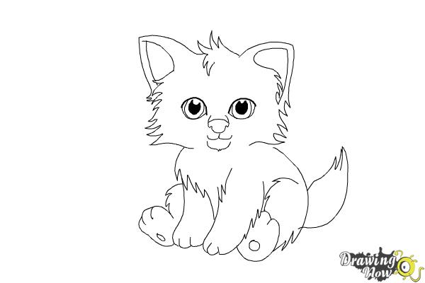 How to Draw a Baby Wolf - Step 9 How to Draw a Baby Wolf - Step 9
