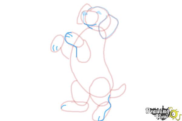 How to Draw a Beagle - Step 10 How to Draw a Beagle - Step 10