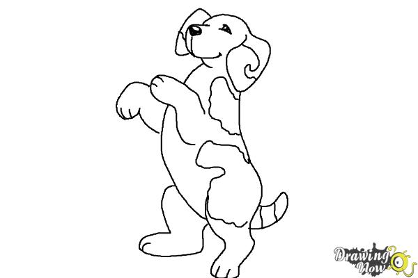 How to Draw a Beagle - Step 12 How to Draw a Beagle - Step 12