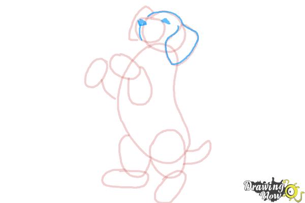 How to Draw a Beagle - Step 9 How to Draw a Beagle - Step 9