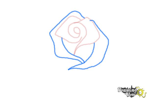 How to Draw a Beautiful Rose - Step 3 How to Draw a Beautiful Rose - Step 3