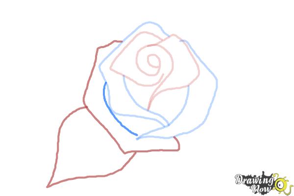 How to Draw a Beautiful Rose - Step 4 How to Draw a Beautiful Rose - Step 4