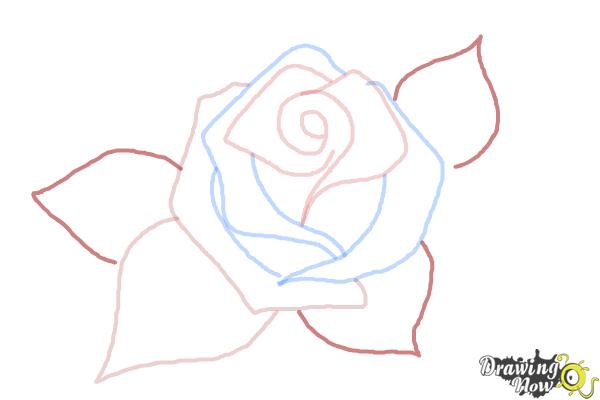 How to Draw a Beautiful Rose - Step 5 How to Draw a Beautiful Rose - Step 5