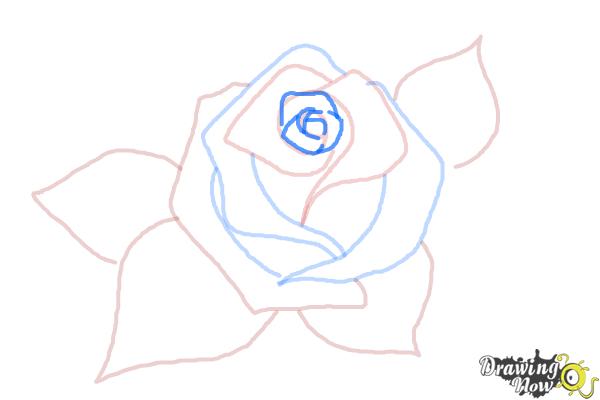 How to Draw a Beautiful Rose - Step 6 How to Draw a Beautiful Rose - Step 6