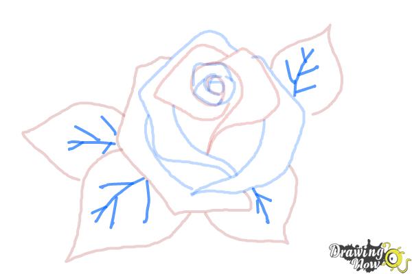 How to Draw a Beautiful Rose - Step 7 How to Draw a Beautiful Rose - Step 7