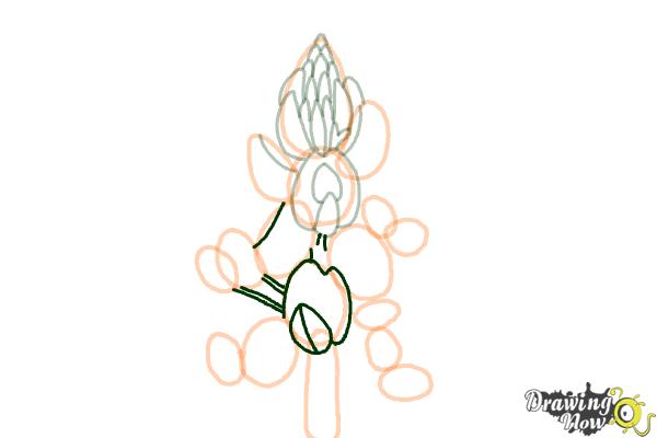 How to Draw a Bluebonnet - Step 10 How to Draw a Bluebonnet - Step 10