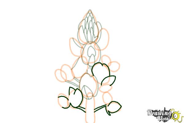 How to Draw a Bluebonnet - Step 11 How to Draw a Bluebonnet - Step 11
