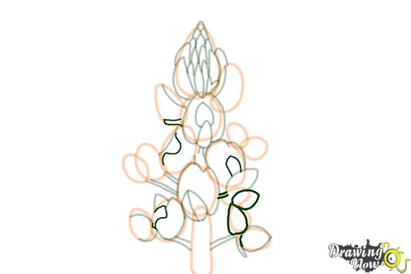 How to Draw a Bluebonnet - Step 12 How to Draw a Bluebonnet - Step 12