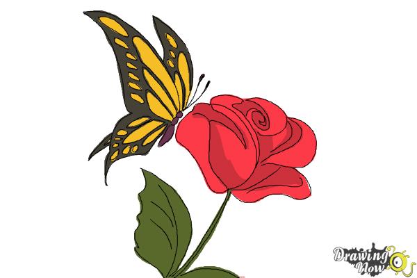 How to Draw a Butterfly On a Flower - Step 11 How to Draw a Butterfly On a Flower - Step 11