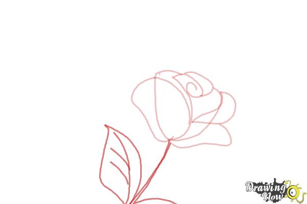 How to Draw a Butterfly On a Flower - Step 4 How to Draw a Butterfly On a Flower - Step 4