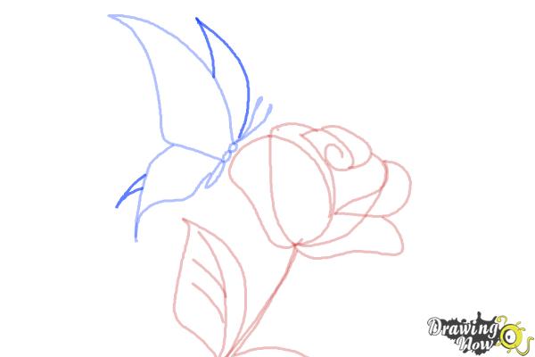 How to Draw a Butterfly On a Flower - Step 7 How to Draw a Butterfly On a Flower - Step 7